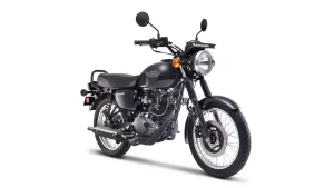 Kawasaki W175